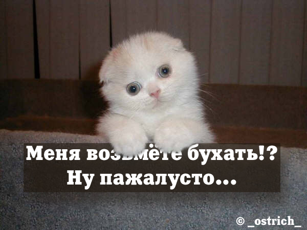 post-18-1123157067.jpg - 102.58kb