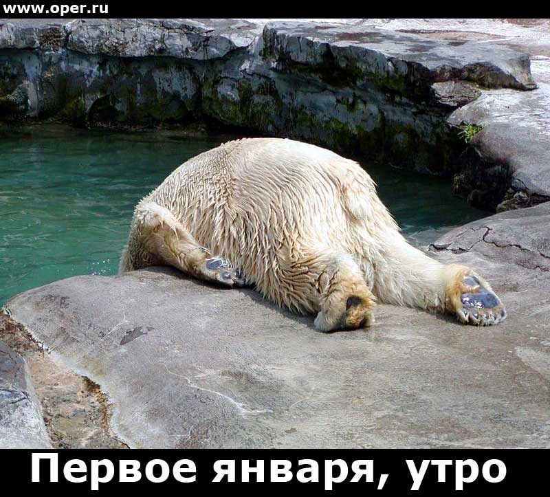 utro[1].jpg - 94.74kb