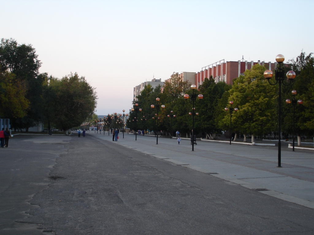 DSC01164.JPG - 314.82kb