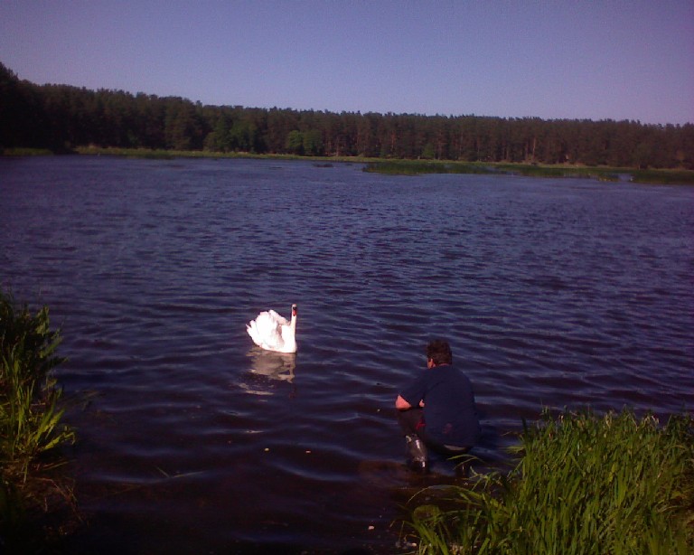 DSC00005.JPG - 98.36kb