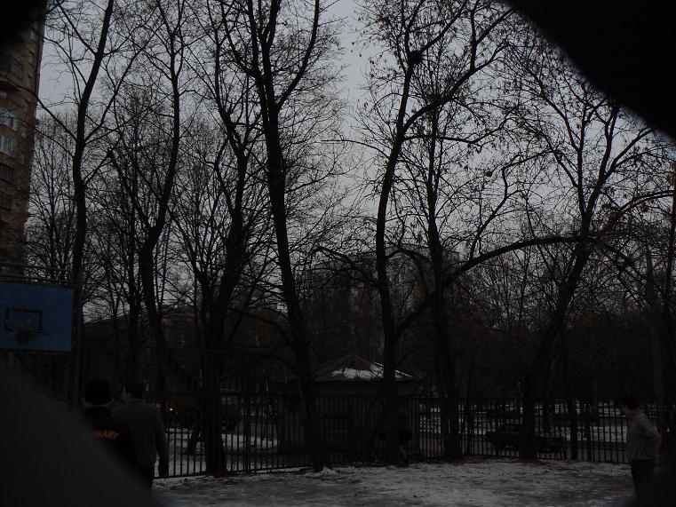 P101026211.JPG - 126.88kb