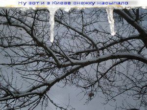  018-1.jpg - 56.68kb
