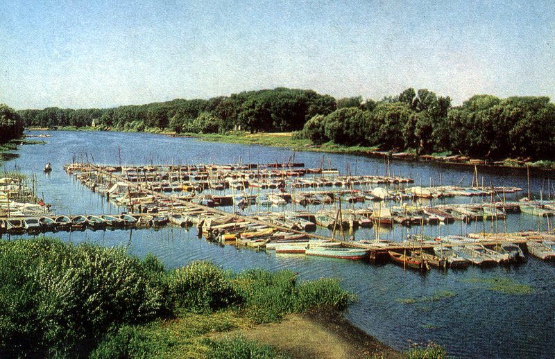 Balasov Choper-1.jpg - 220.94kb