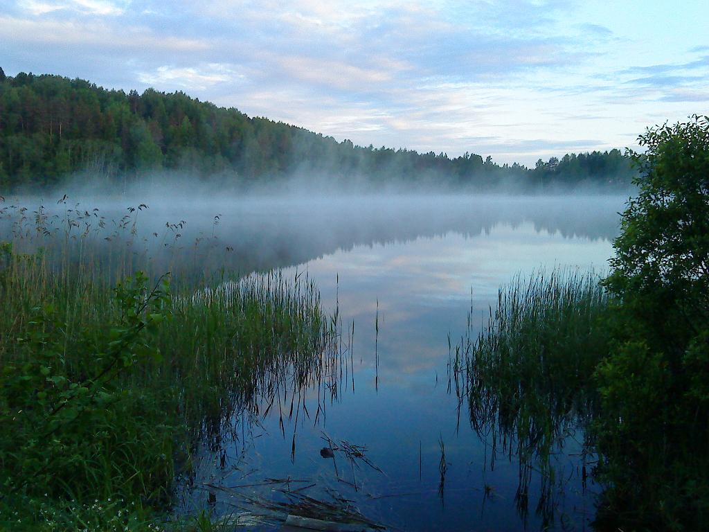 DSC00214.jpg - 113.19kb