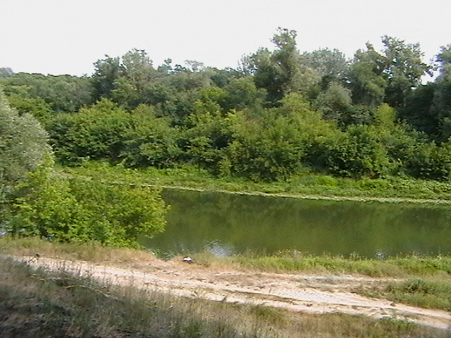 IMGA0014.JPG - 111.11kb
