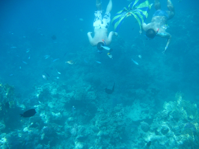 IMG_1115.JPG - 179.8kb