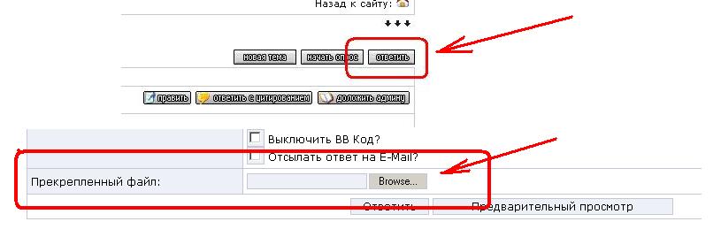 3.JPG - 28.83kb