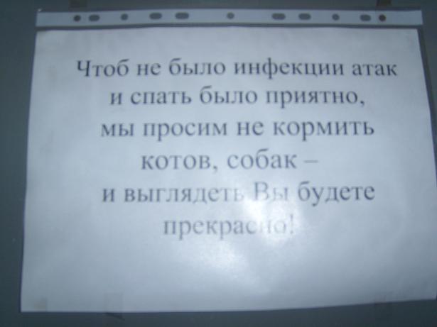 SL733390.JPG - 60.74kb