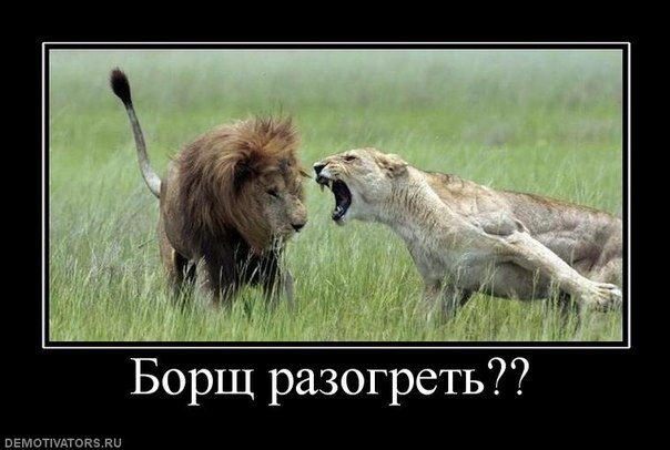 x_509fdf62.jpg - 46.38kb
