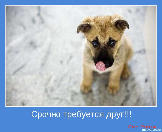 1275899455_motivator-133.jpg - 105.85kb