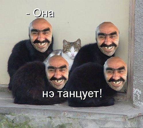 oz9pyBrY14o.jpg - 45.76kb
