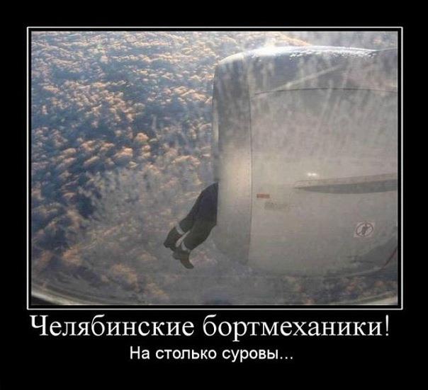 310519_229682570418089_1915023_n.jpg - 43.16kb