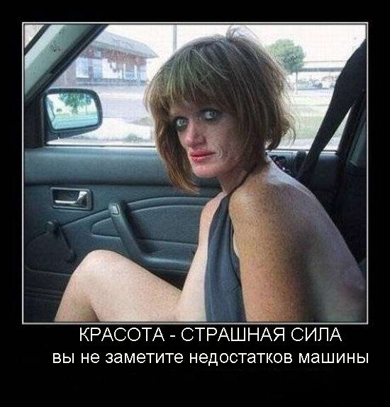 dem1.jpg - 45.65kb