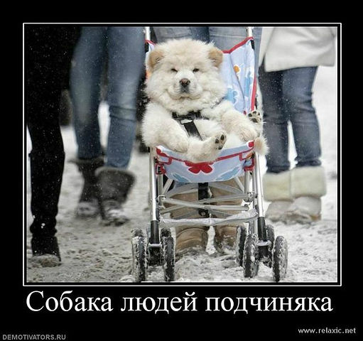 ������.jpeg - 51.92kb