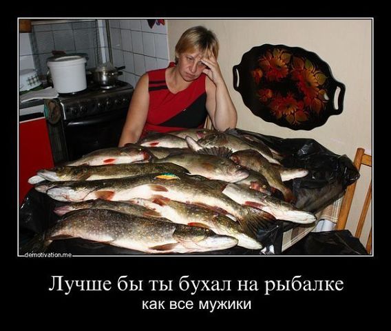 getImage.jpg - 50.19kb