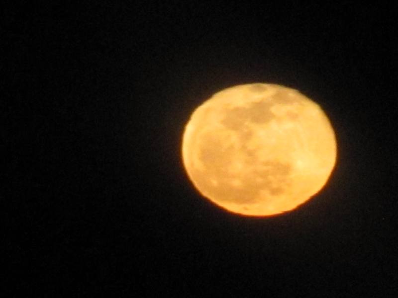 IMG_3693.jpg - 35.44kb