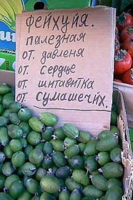 99437753_large_FEYHUYA.jpg - 70.83kb