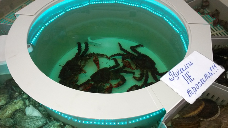 20131002_140543.jpg - 139.67kb