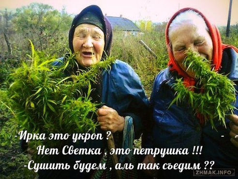 getImage (7).jpg - 58.61kb