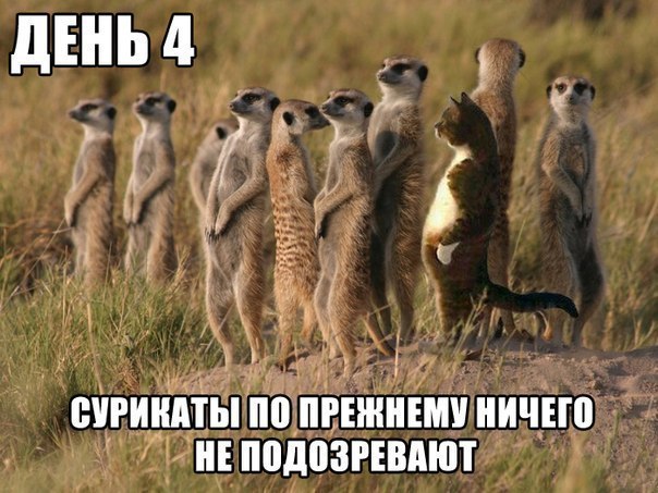 bqVRImmUwJI.jpg - 77.91kb