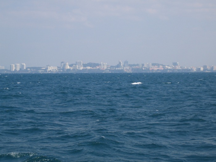 IMG_9307.JPG - 96.1kb