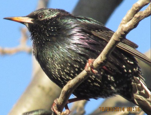 ��1.PNG - 545.96kb