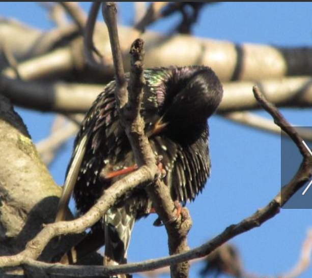 ��2.PNG - 554.29kb