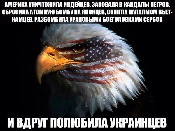 qPP2AxCqKUI.jpg - 60.69kb