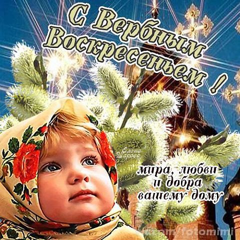 image (3).jpg - 78.4kb