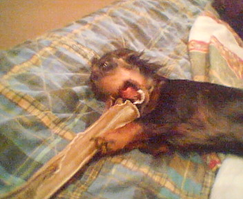 Cam000415.JPG - 37.61kb