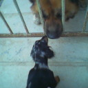 Cam000232.JPG - 6.11kb