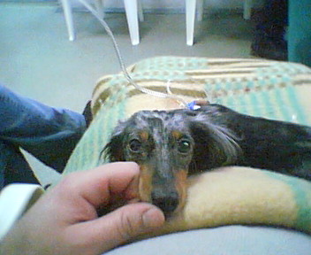 Cam000052.JPG - 33.23kb