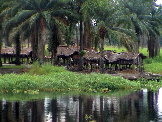 DSC00067.jpg - 76.93kb